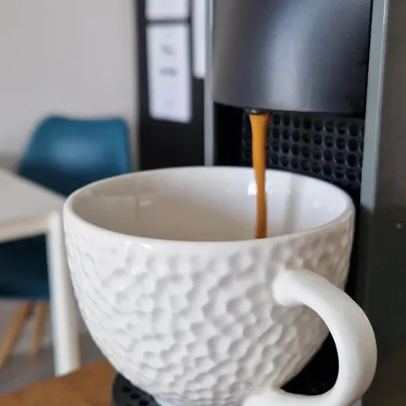 Appartement Cozy One-room With Garage And Ac *