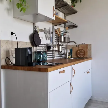 Apartment Cozy One-room With Garage And Ac *